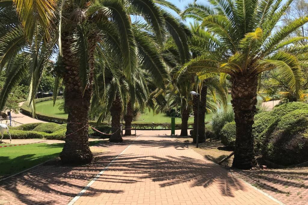 Apartament Minerva *